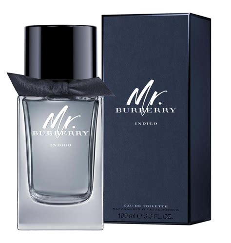 burberry mr eau de parfum|mr Burberry indigo 100ml.